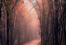 NBA即时比分直播网该怎么选？这些要点帮你找到靠谱平台